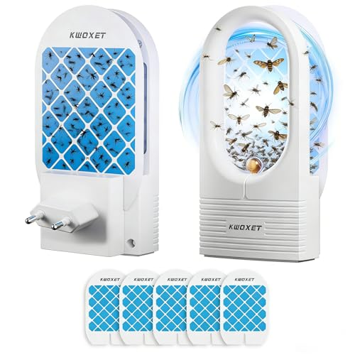 Anti moucherons Interieur, Lot de 10 pièces, Ultra-adhésifs pour la Cuisine, la Maison et Le Jardin (11 x 7,5 cm) (B-10 pièces)