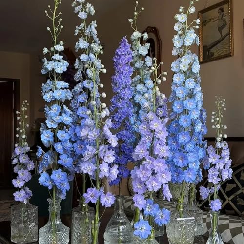 semillas resistentes de delphinium - jardín decoracion balcon perenne 1200pcs