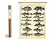 Produktbild Cavallini Vintage Poster Set mit Holzleisten (Rahmen) und Schnur zum Aufhängen, Motiv Fische