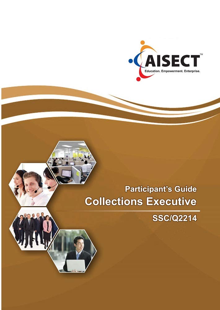 Collection Executive