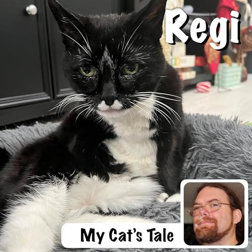 My Cat&rsquo;s Tale &ndash; Regi, the Queen of Queens