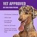 Azestfor Homemade Dog Food Supplement Dog Vitamins Made in USA Add to Holistic Whole Food Diets Raw BARF All Breeds Puppy Adult 16oz Powder