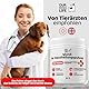 Wund- & Hautpuder für Hunde | Blutstillend & Heilungsfördernd | Tierärztlich getestet | Erste-Hilfe Wundpuder | Antibakteriell | DogsLife