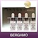 BERGAMO / Snow White & Vita Whitening Perfection Ampoule 13ml 4EA / Korean cosmetics