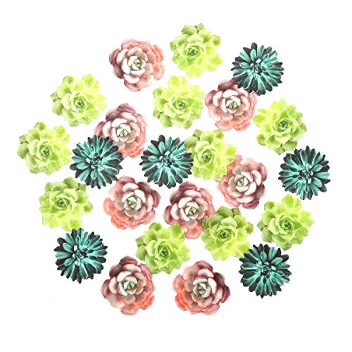 Georld 24Pcs Edible Cupcake Toppers Succulents Hawaiian Party Cake Summer Decoration,Not 3D … #TOP2