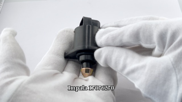 Amazon.com: DEVMO Idle Air Control Valve IACV IAC 19333273
