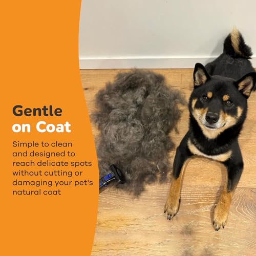 Small-Dog-Deshedding-Brush–Short-Medium-Hair-Grooming-Tool-for-Cats-Dogs-Pet-Hair-Remover-Undercoat-Rake–Pink-small-Dog-Brush-for-Shedding-Refresh-Deshedding-Brush Small Dog Deshedding Brush–Short Medium Hair Grooming Tool for Cats Dogs Pet Hair Remover Undercoat Rake–Pink small Dog Brush for Shedding Refresh Deshedding Brush