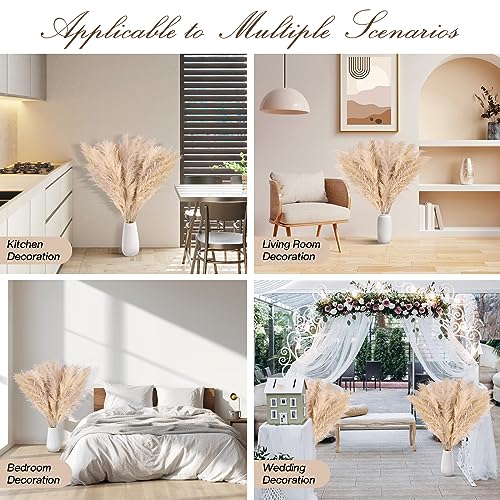 Herbes de la pampa naturelles DATEFUN moelleuses et geantes 100 cm