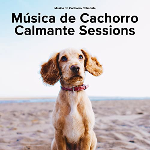 Amazon MusicでMúsica de Cachorro CalmanteのMúsica de Cachorro Calmante ...