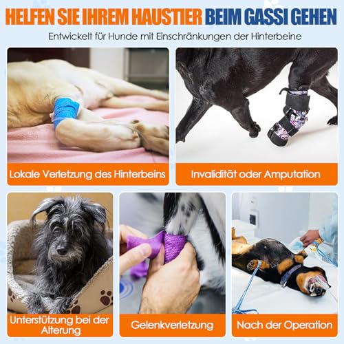 Eyein Tragehilfe für mittelgroße große Hunde, Tragetasche Hund mit verstellbarem Hinterbein-Stützgurt für ältere, verletzte oder behinderte Hunde bei schwachen Hinterbeinen nach Kreuzband-OP, M