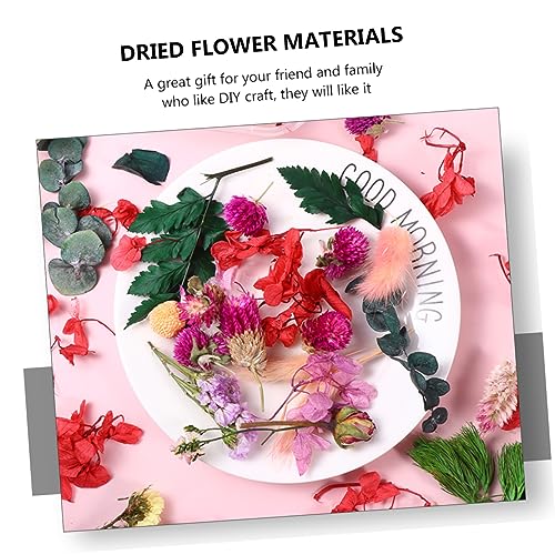Cabilock Deco. Flores Secas en 6 Cajas para Manualidades miniatura 3