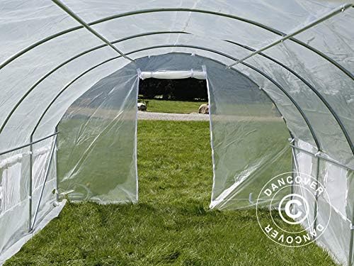 Interior view of Dancover Tunnel Greenhouse looking towards the door