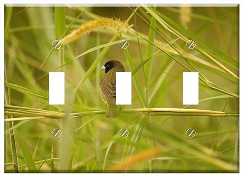 Interruptor Placa Triple Palanca - Naturaleza Fauna Flora Insectos Armenia Quindio