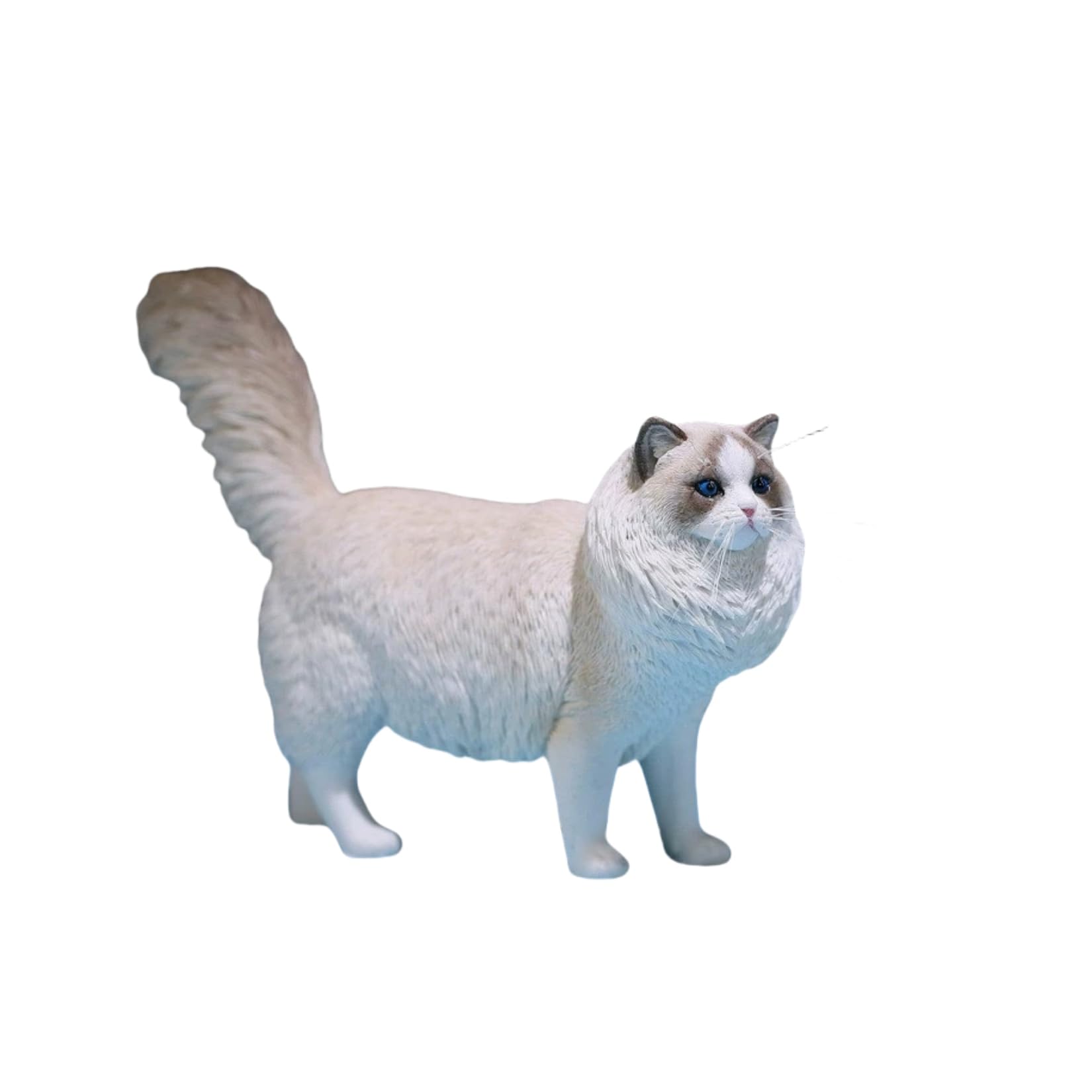猫B 画像1 + 9 +17 Amazon.co.jp: JXK 1:6サイズ ラグドール 猫 10.5cm ペット 動物