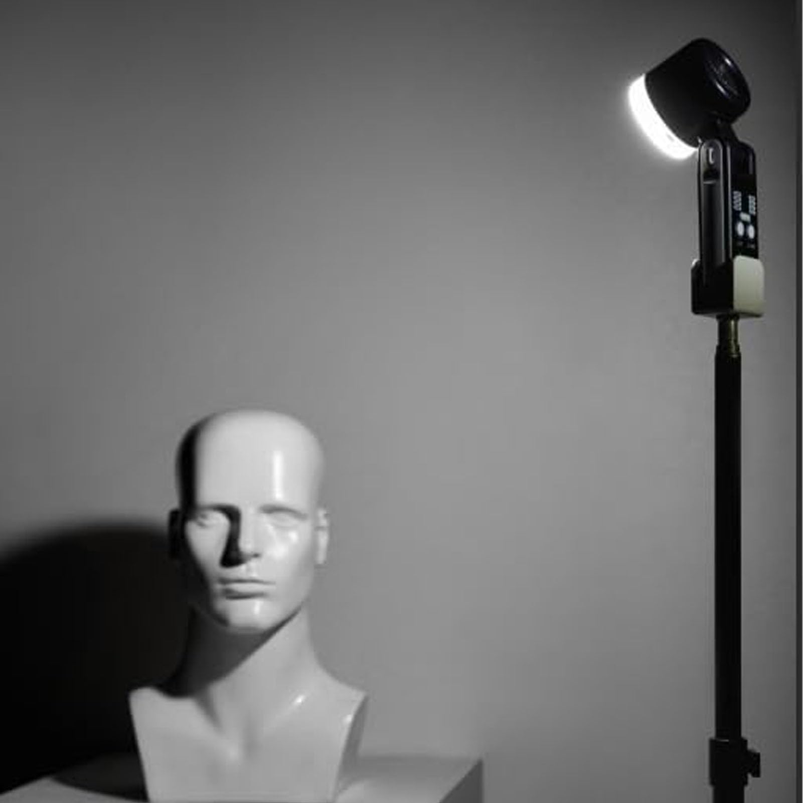 Luce di Riempimento LED Portatile, Luce Video LED a Temperatura Colore a 4 Segmenti 2500K 5600K, Fotografica Portatile con Rotazione Orizzontale di 180° e 4 Livelli di luminosità per Studio