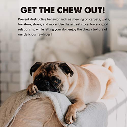 Downtown Pet Supply - Rawhide Chips Dog Treats - 100% Natural Beef Dog Chews - Dog Dental Care & Plaque Remover For Teeth - For Small To Medium Chewers - Regular -7 In X 3 In - 0.5 Lbs #TOP7
