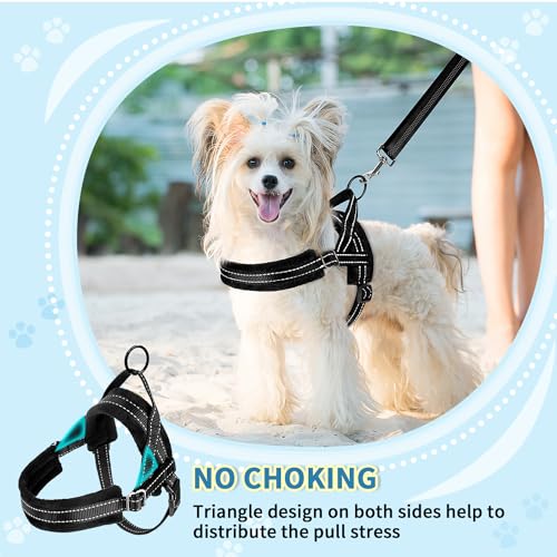Slowton STP35BS No Pull Small Dog Harness And Leash Set, Puppy Soft Vest Harness Neck & Chest Adjustable, Reflective Lightweight Harness & Anti-Twist Pet Lead Combo thumb #1