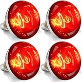 VORIGY 250W Red R40 Bulb 4-Pack