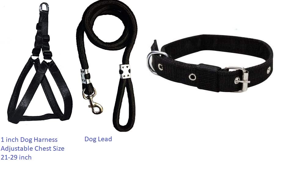 SENAPATI-Ghungroo-Dog-Combo-Pack-Of-Harness-Neck-Collar-Belt-And-Rope-Set-With-Double-Strong-Strip-Black-Medium-Multi-7-Cm