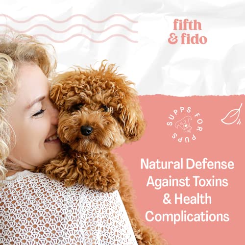 Fifth And Fido Liquid Milk Thistle For Dogs Liver Support And Dog Cough Suppressant - Kennel Cough Treatment For Dogs #TOP7