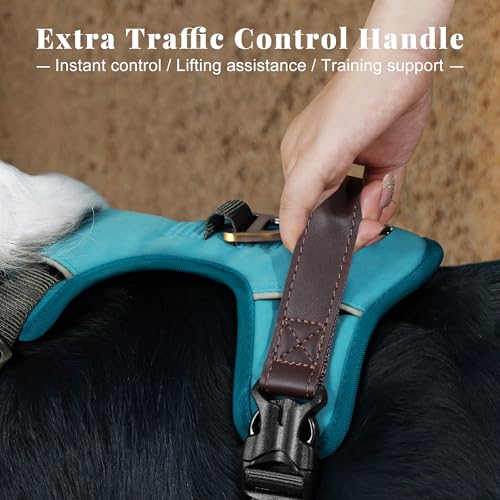 Image of Didog No Pull Dog Harness for Medium Dogs, Classic PU Leather, Light Blue,M