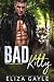 Bad Kitty: Paranormal Shifter Romance (Southern Shifters Book 4)