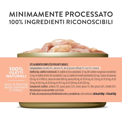 Schesir, Thunfisch mit Lachs in Gelee, komplettes Nassfutter für Katzen, in Dose, mit zusätzlichen Vitaminen, 100% natürlich, 6 x 85 g