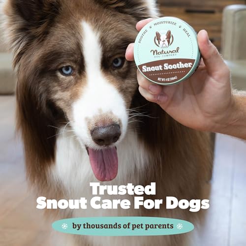 Natural Dog Company Snout Soother Travel Stick 0.15 oz – All Natural Dog Nose Balm for Dry, Cracked Snouts – Organic Moisturizing & Soothing Balm – Lick-Safe Mini Snout Care, Made in USA