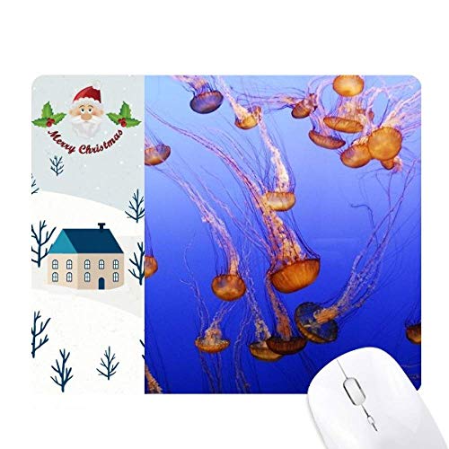 CmNQȊw͎R̎ʐ^ T^N[XƉS̃}EXpbh