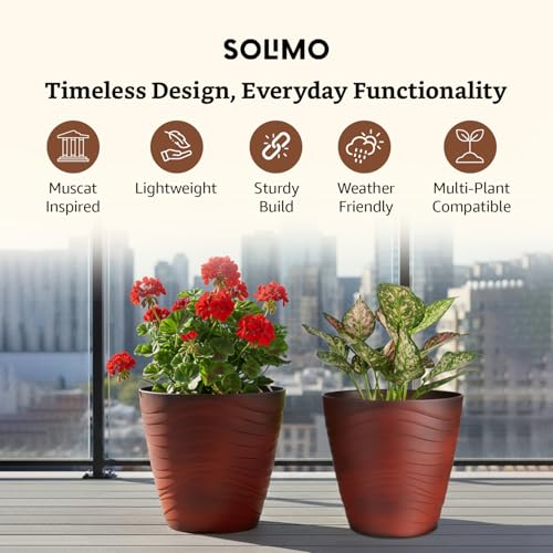 Image of Amazon Brand- Solimo Indoor and Outdoor Round 10 Inch Flower Planter Pot Best for Terrace /Balcony /Home /Office Decor - Set of 2