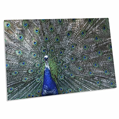 3dRose Florene Birds - Imagen de Pavo Real Vivo con Plumaje