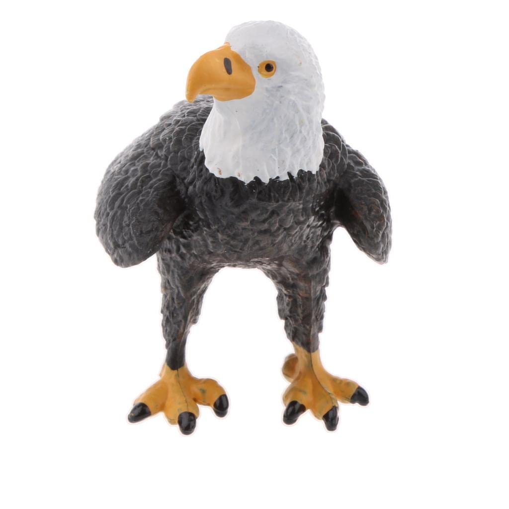 CALANDIS® Realistic PVC Animal Bird Model Figurine Action Figures Playset Kids Educational Toy Collectibles Â?Bald Eagle (B0BQJ3SHQG) Amazon Price History, Amazon Price Tracker