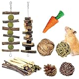 Dimweca Jouets à mâcher Lapin | Ensemble de Jouets d'enrichissement en Bois pour Hamster pour Cage,10 pièces Accessoires de Cage de Hamster broyage des Dents Lapin Carotte Pomme de pin Fournitures de