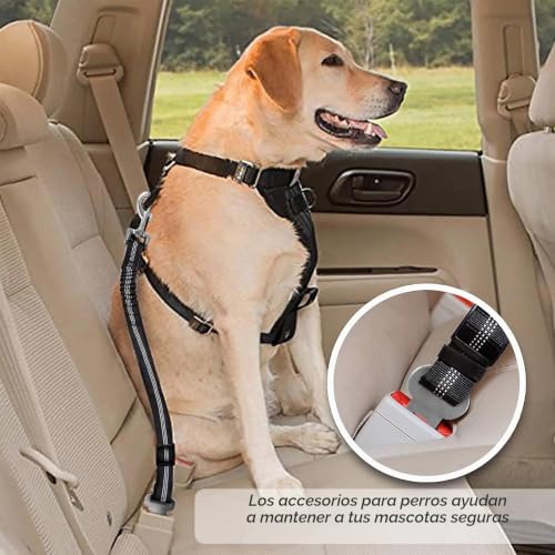 Miniatura 5 de Redamancy Cinturon De Seguridad Ajustable Para Coche, 1 Pack Arnes Universal De Nylon Con Mosquetón, Cinturon Para Todas Las Razas Perros Y Gatos, Negro