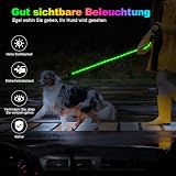 YFbrite wasserdichte Hundeleine mit Beleuchtung und 15 Blinkmodi – Superhelle LED-Hundeleine für kleine, mittelgroße und große Hunde – Wiederaufladbare Hundeleinen Typ C mit Licht (6ft(180cm))