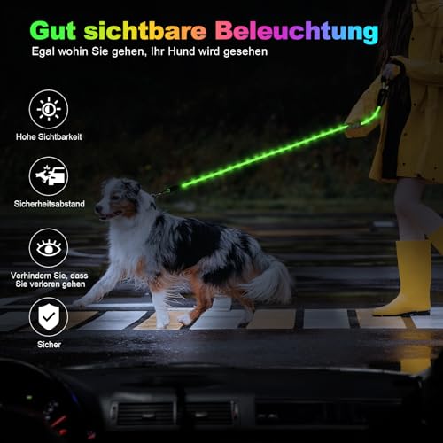 YFbrite wasserdichte Hundeleine mit Beleuchtung und 15 Blinkmodi – Superhelle LED-Hundeleine für kleine, mittelgroße und große Hunde – Wiederaufladbare Hundeleinen Typ C mit Licht (6ft(180cm))