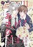 BOY’Sピアス 2023年11月号 (BOY’Sピアス デジタル)