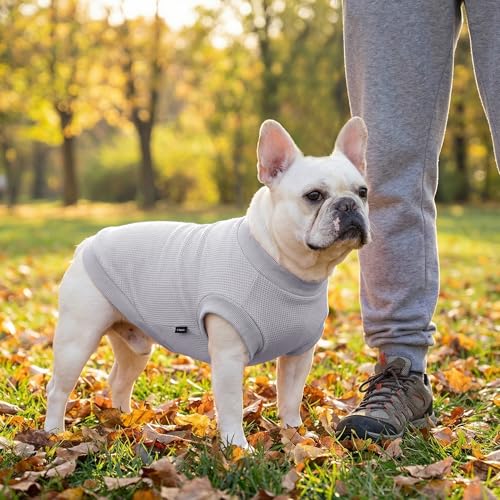 Image of 3 Pack Dog Shirt for Small Supplies Functional Waffle Dog Clothes Warm Soft Sweatshirt Outfit for Dogs Cats Pet Apparel