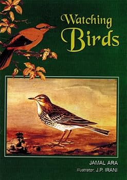 Watching Birds