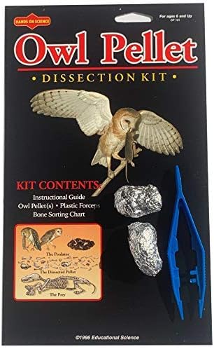 Owl Pellet Kit, 2 Pellet, Bone Sorting Chart