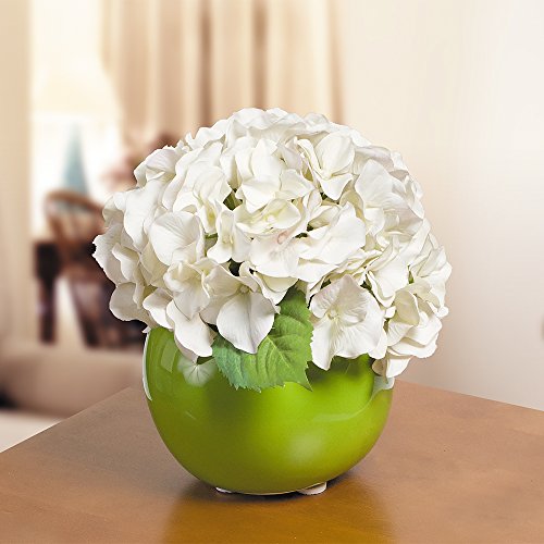 Tatkraft Rolf Cuscinetti Autoadesivi di Protezione...