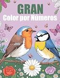 gran color campo grande ms  Gran Color por Números: Libro de colorear por números para adultos: Arteterapia para divertirse y aliviar el estrés