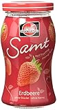 PERFEKT-Der perfekte Aufstrich für jeden süßen Frühstückstisch und eine Garantie für einen guten Start in den Tag. Fahren Sie mit einem Lächeln zur Arbeit oder genießen das Ihrer Kinder mit dem einzigartigen und fein abgeschmeckten Fruchtaufstrich ohne Stücke und Kerne.
