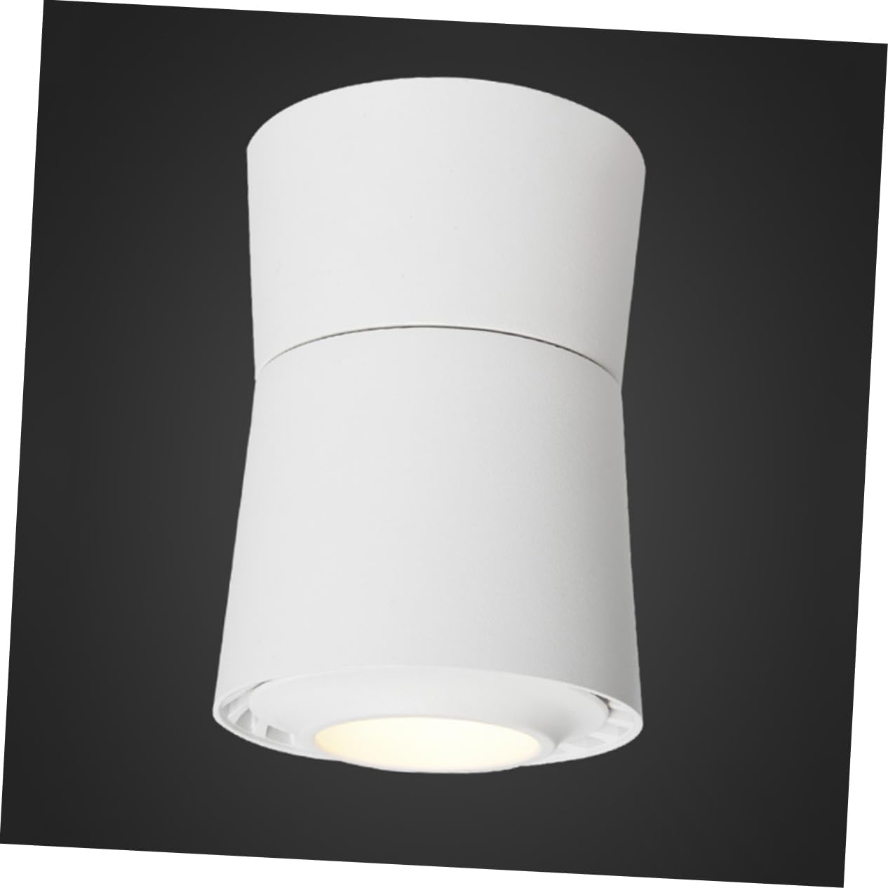 Adjustable Lighting Head Led Spotlight Modern Light Fixtures Ceiling Flush Mount Led Ceiling Light