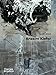 Anselm Kiefer