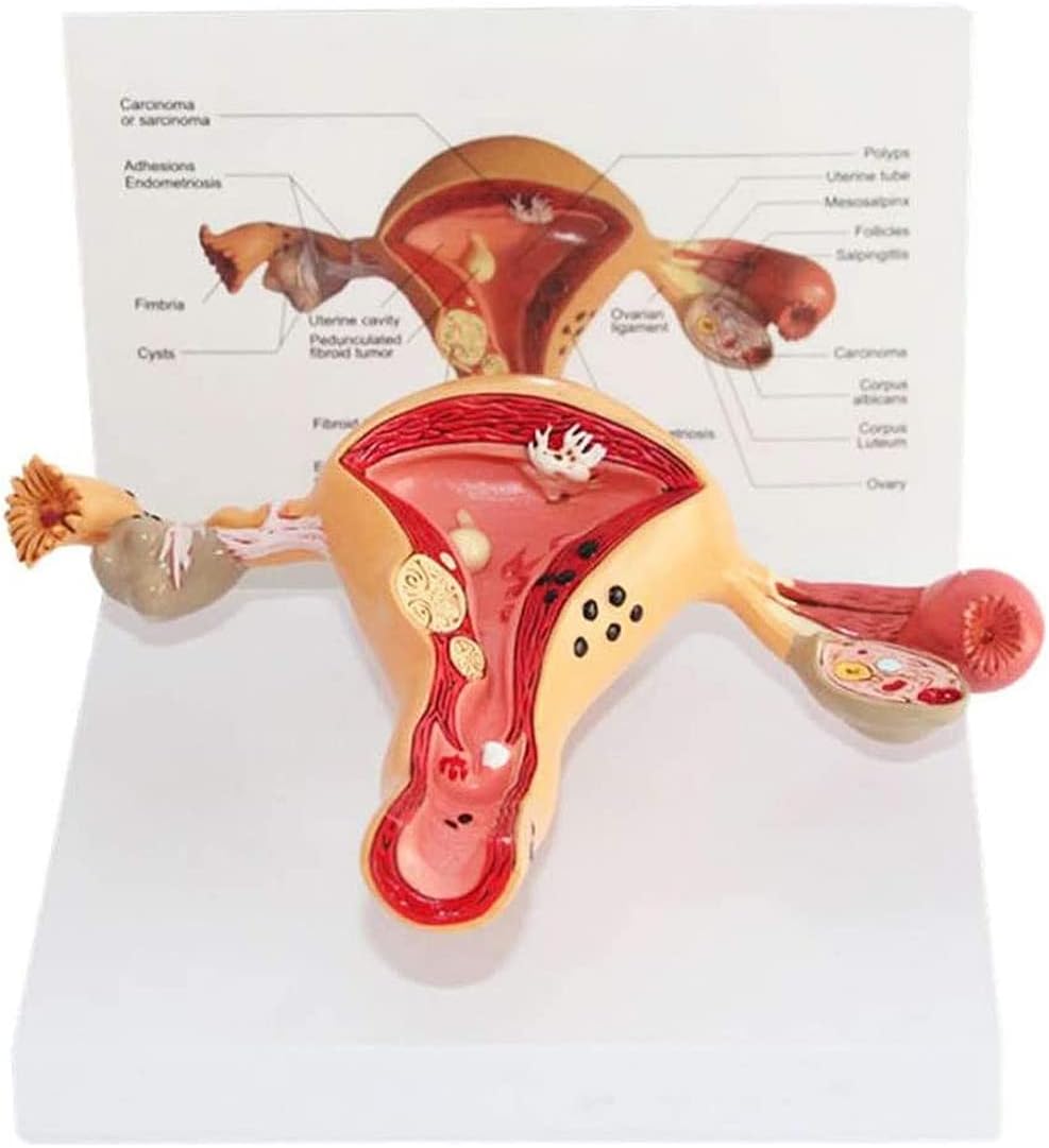 Xotini bilan kuyov va qaynona pornosi Rus blondes ichida cum olish