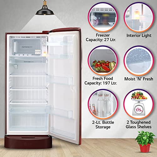 LG 224 L 4 Star Inverter Direct-Cool Single Door Refrigerator (GL-D241ASCY, Scarlet Charm, Base stand with Drawer, Total capacity -235 L) - Image 4