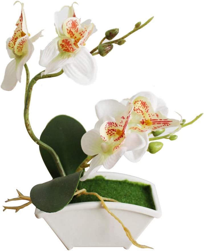 Brussels08 Decorative Artificial Flower Potted Plant Fake Butterfly Orchid Flower Phalaenopsis with Flowerpot Desktop Mini Bonsai Flower for Home Office Party Wedding Decoration White