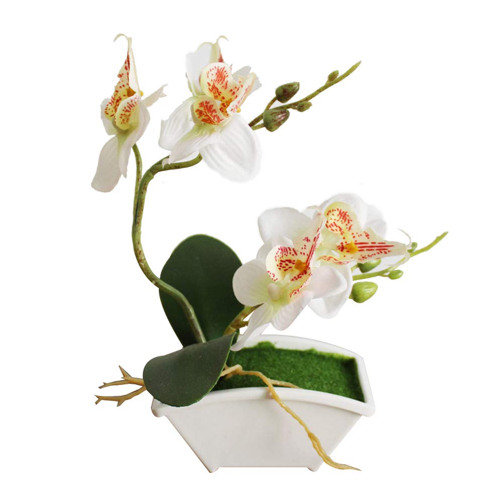 Brussels08 Decorative Artificial Flower Potted Plant Fake Butterfly Orchid Flower Phalaenopsis with Flowerpot Desktop Mini Bonsai Flower for Home Office Party Wedding Decoration White