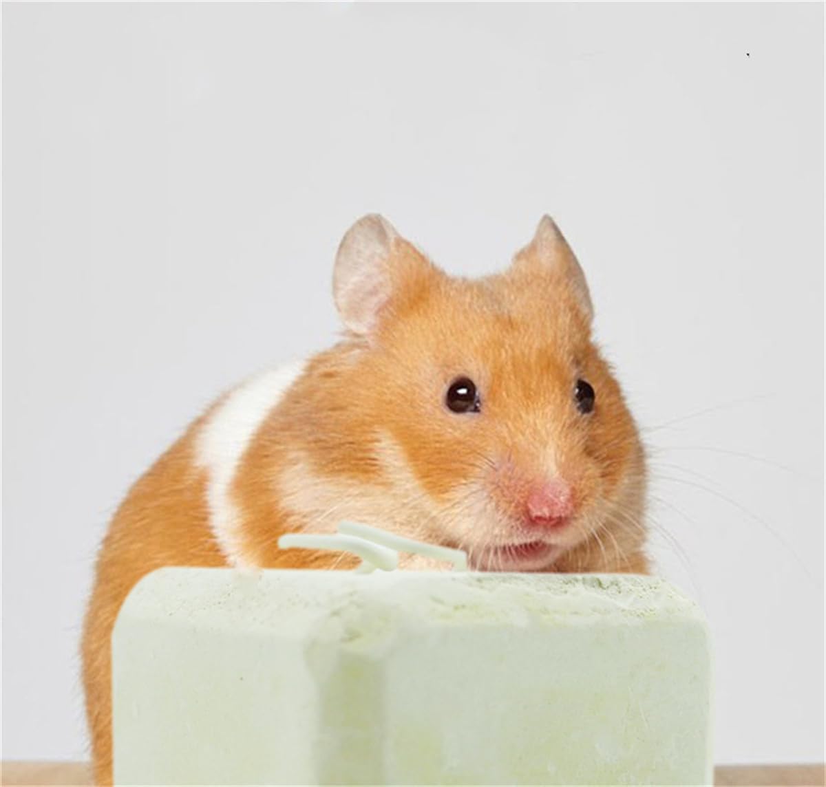 HAMKU Zahnschleifsteine Für Hamster & Kleintiere - 10 Stück Natürliche Kausteine